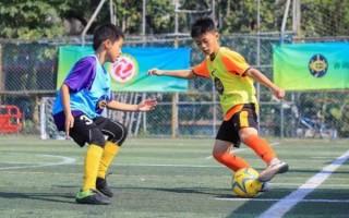 增城业余足球：草根运动的魅力与挑战