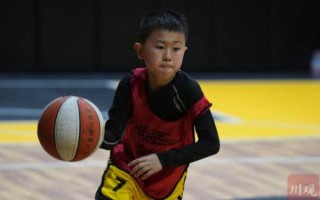 幼儿篮球乐园：小小球员的欢乐天地