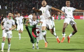 2014年世界杯：阿尔及利亚的辉煌时刻