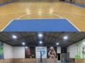 东沙村篮球场信息一览：探索东江沙公园篮球场联系方式