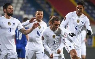 波黑国家足球队成功晋级世界杯赛场
