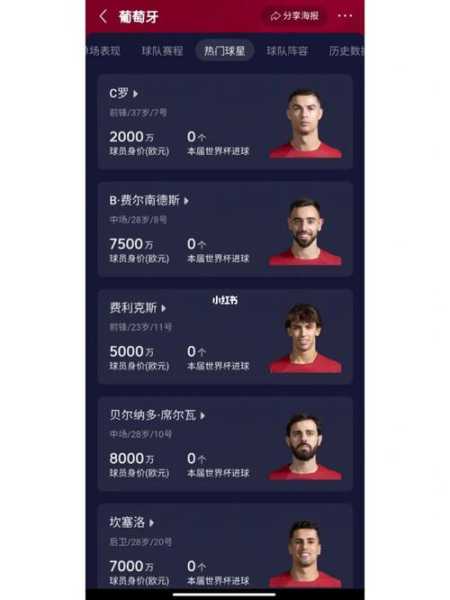 世界杯球员号码范围解析-第2张图片-寰星运动网