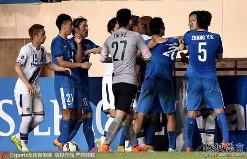 广州富力对阵大阪：一场亚洲足球的较量-第2张图片-寰星运动网