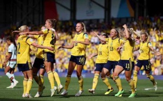 瑞典世界杯巡礼：足球之光的荣耀之路
